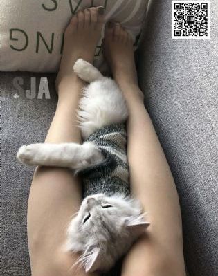 欧美日韩国产免费一区二区三区_电影网在线观看